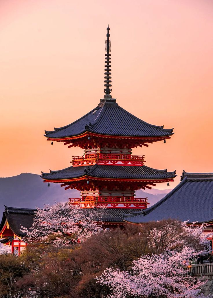 Best of Japan Cherry Blossom